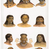 Têtes de différentes castes sauvages. [1. Iouri; 2. Maxuruna (Machourouna); 3. Iouripassé; 4. Mura (Moura); 5. Bororeno; 6. Iouma; 7. Coroado; 8. Botocoudo; 9. Femme Puris; 10. Botocoudo (momifiée); 11. Puris (momifiée].