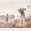 Marchand de sambouras [left]. Vendeur de palmito [right].