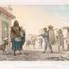 Maison à louer, cheval et chèvre à vendre.