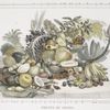 Fruits de Brésil.