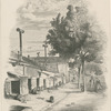 [Les cabanes des loupes.]
