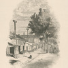 Les cabanes des loupes.