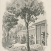 [Les volières des oiseaux de proie.]