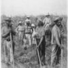 Negroes at work in a Cuban sugar plantation.