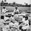 The increased production of grapefruit is one of the factors that has helped to make the total exports of Porto Rico worth fifteen times as much as they were when the United States took over the island.