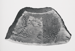 Portion of a Mould of a Basin. Size of original.