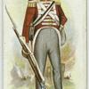 Infantry of the Line, 1817.