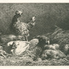 Poules.