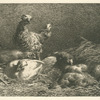 Poules.
