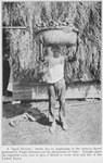 A "good Havana" smoke has its beginnings in the tobacco leaves gathered by Negro labourers on the plantations of Cuba. Enough cigars are exported each year to give a boxful to every man and boy in the United States.
