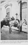 Throughout most of Cuba milk is still peddled from house to house in cans slung across the backs of donkeys. These animals are also the most common fruit and vegetable wagons in the island.