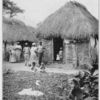 Only fourteen thousand of Jamaica's population of almost a million are white. Most of the people are blacks or mulattoes descended from the hundreds of thousands of African slaves brought here to work on the plantations.