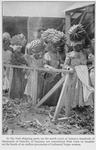 At the fruit-shipping ports on the north coast of Jamaica hundreds of thousands of bunches of bananas are transferred from train to steamer on the heads of an endless procession of turbaned Negro women.