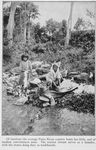 Of furniture the average Porto Rican country home has little, and of modern conveniences none. The nearest stream serves as a laundry, with the stones doing duty as washboards.