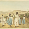 Enslaved plantation workers cutting sugarcane in Jamaica