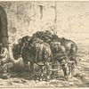 Chevaux de halage.