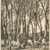 Dans le bois.