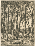 Dans le bois.