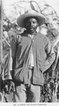 A Negro of Santo Domingo.