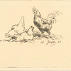 Two hens and a rooster.