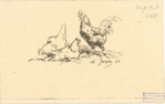 Two hens and a rooster.