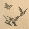 Four flying birds.