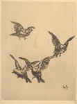 Four flying birds.
