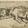 Dog lying down.