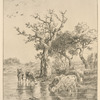 Vaches à l'abreuvoir.
