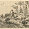 Troupeau de porcs.