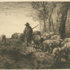 Troupeau de porcs.