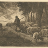 Troupeau de porcs.