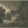 Paysage. Forêt vierge.