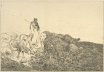 Shepherdess and dog with flock of sheep.