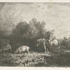 Paysage et animaux