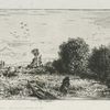 Saules, paysage
