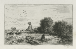 Saules, paysage