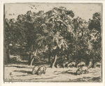 Paysage : animaux