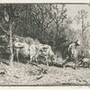 Paysage : troupeau de vaches