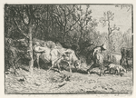 Paysage : troupeau de vaches