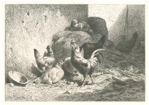 Collection publiee en 1864