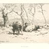 Moutons