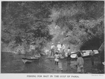 Fishing for bait in the Gulf of Paria, [Tobago.]