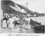Going to market, Rockfort Road, Kingston; [Jamaica.]