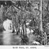Blue pool, St. Ann's; [Jamaica.]