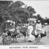 Returning from market; [Jamaica.]