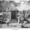 A native hut; [Jamaica.]