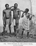 Bush-Negroes of the Aukan tribe, Dutch Guiana