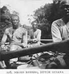 Negro rowers, Dutch Guiana.