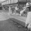 The principal market, Port-au-Prince.